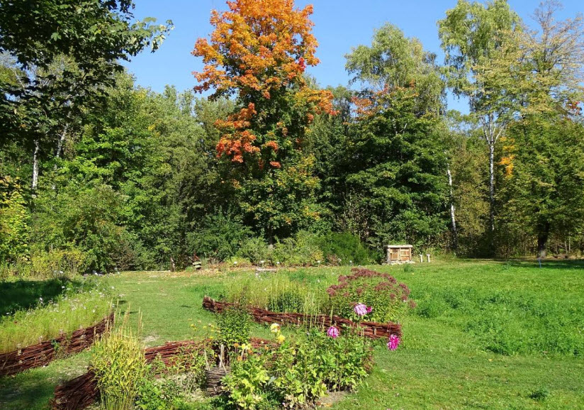 Śląski Ogród Botaniczny w Radzionkowie, Radzionków, Poland, Poland